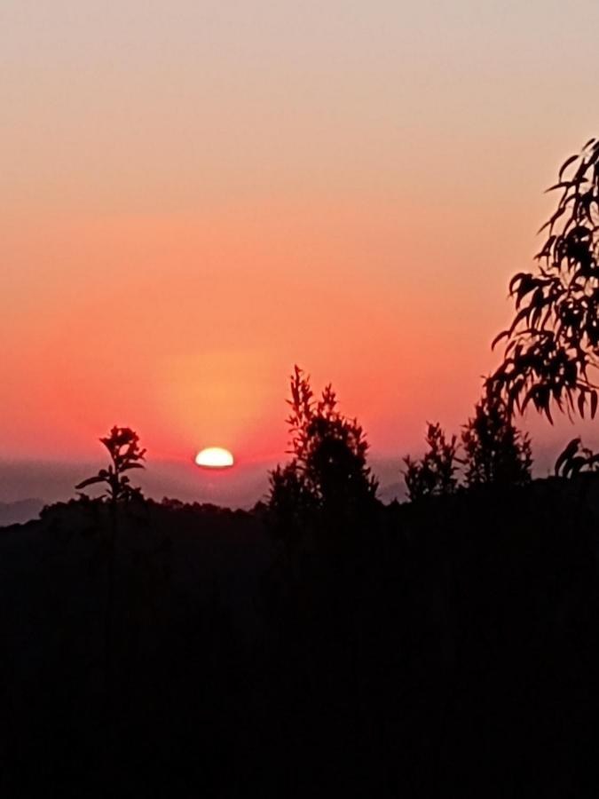 Casa Recanto Beija Flor, Monte Verde Monte Verde  Εξωτερικό φωτογραφία